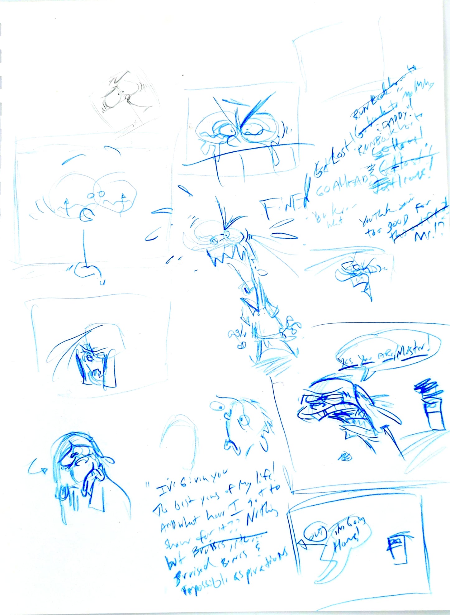 EEnE "FINE!!!!!" Big Picture Show Storyboard Thumbnails & Writing by Raven Molisee