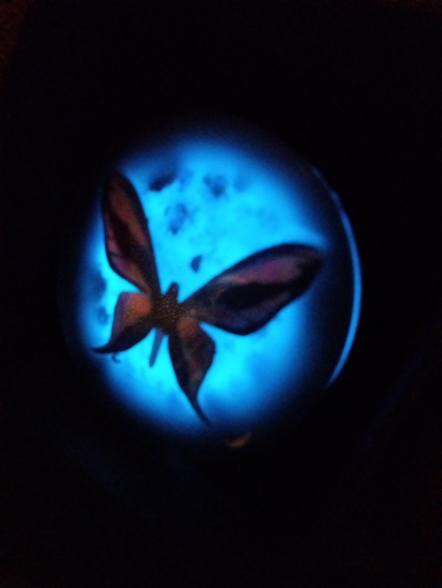 Blue Glow 'Holographic Butterfly' Resin Brooch #1