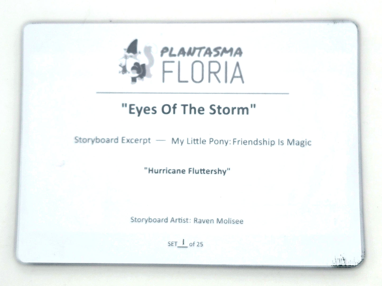 Signed Storyboard Card — Eyes of the Storm (Signed Single Panel)