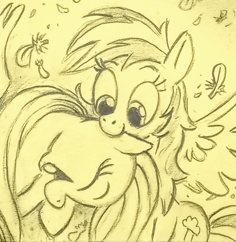 MLP "Pony Feathers" Fluttershy & Rainbow Dash Graphite Drawing