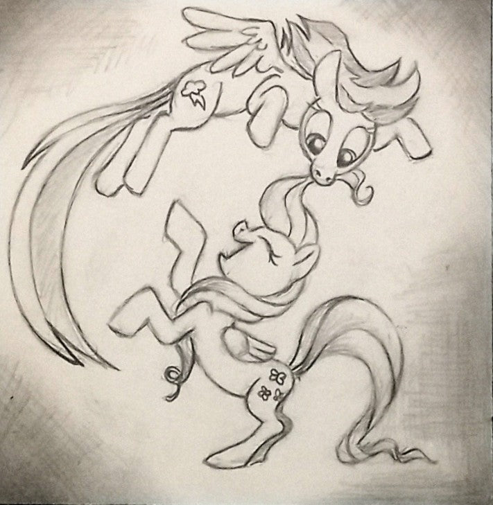 MLP "Filly Frolic" Fluttershy & Rainbow Dash Graphite Drawing