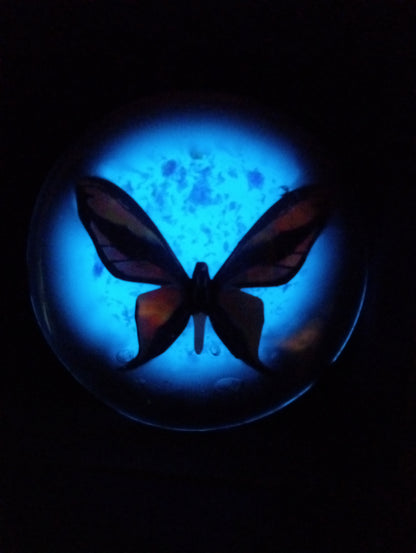 Blue Glow 'Holographic Butterfly' Resin Brooch #1
