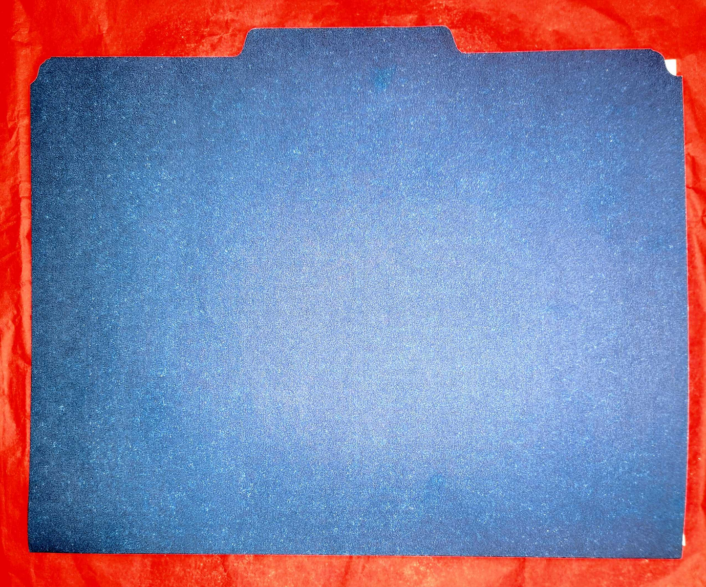 The Polkagnosis Files: Volume 1 - Physical Artifact