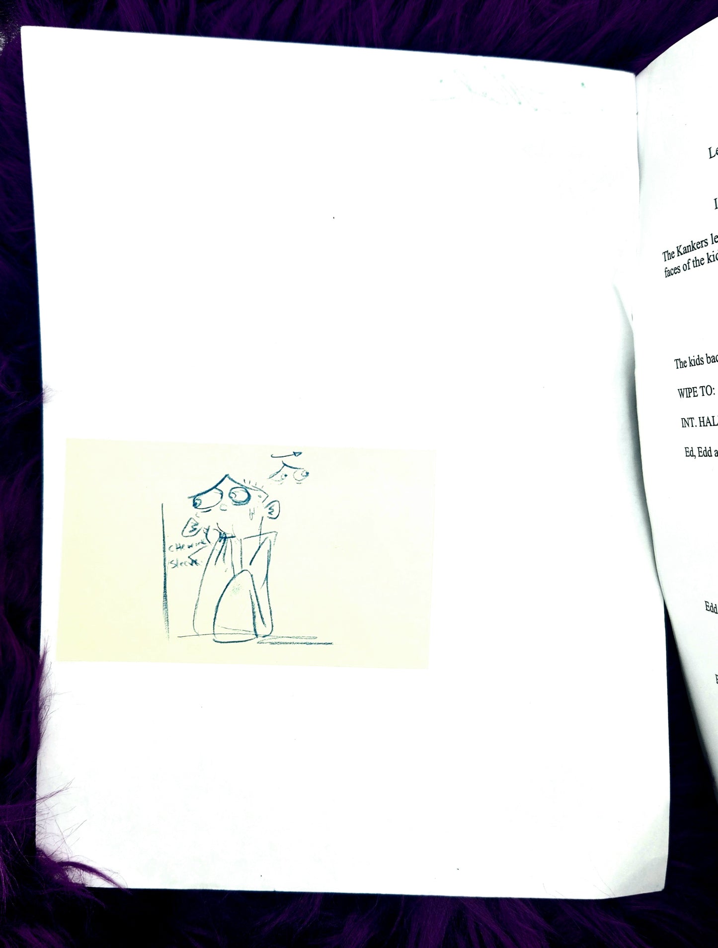 Ed Edd Eddy: Original "Fistful Of Ed" 2006 working Script, Signed & Sketched on by 3 Artists