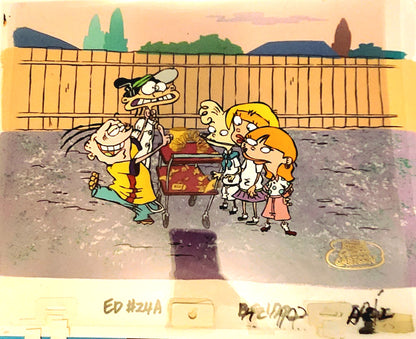 Ed Edd n Eddy: "Ed In A Half Shell" Authentic Animation Cel w/COA