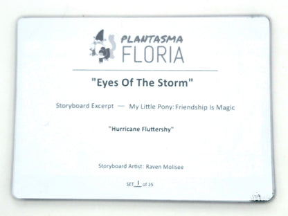 “Eyes of the Storm” — Storyboard Flip Set (Signed, Edition of 25)
My Little Pony: Friendship Is Magic